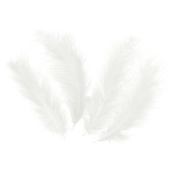 Decorative feathers long - white, 14cm, 100 pieces