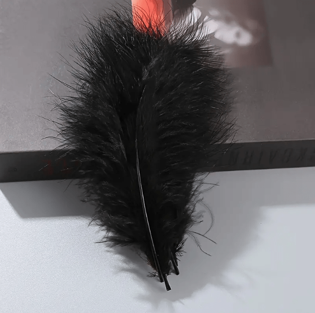 Decorative feathers - Black, 14cm, 100 szt