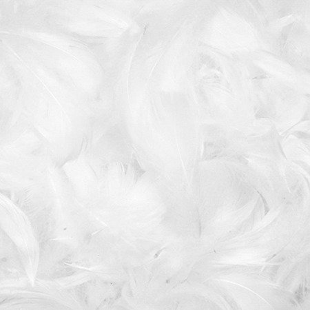 Decorative feathers short - white, 50 pieces