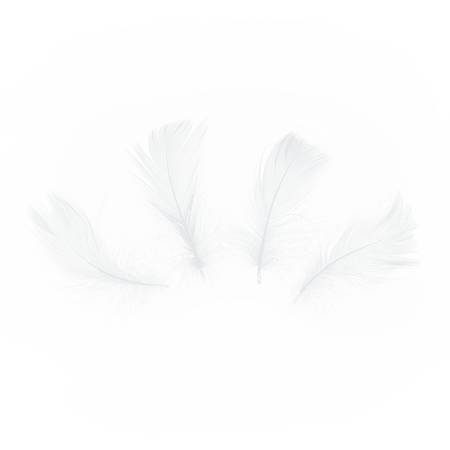 Decorative feathers short - white, 50 pieces