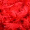 Decorative feathers - Red, 12 g