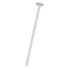 Eco balloons sticks, white, 30cm, 1 pcs.