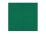 Paper napkins Dark Green Dark Green 33x33cm 20pcs
