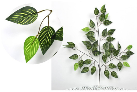 Ficus Blatt, Benjamin Dunkel mit Hellen Streifen, 3-Ästig, 60 cm - 1 Stk