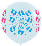 Sempertex Latex Balloons, White, He or She, 91 cm, 2 pcs