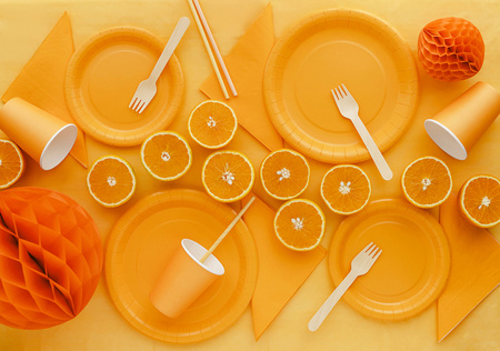 Paper napkins Light Orange 33x33cm 20 pcs