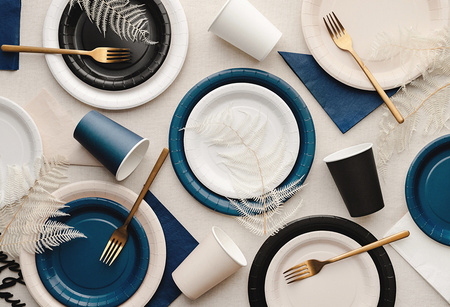 Paper plates white 23cm 6pcs