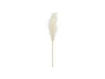 Artificial pampas grass, 15x110 cm, light cream