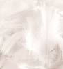Decorative feathers - White, 12 g