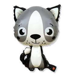 Foil balloon raccoon 63 x 44.5 cm