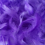 Decorative feathers in a box - purple