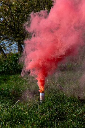 Smoke fountain It's a Girl pink 22.5cm 5 pieces