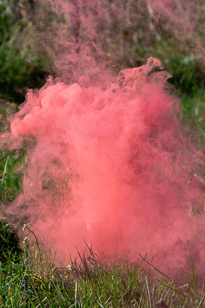 Rauchfackel It's a Girl rosa 22,5cm 5 Stück