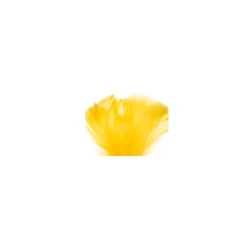 Piórka dekoracyjne - cytrynowe, żółte, 12 g