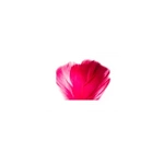 Piórka dekoracyjne - Amarant, 12 g