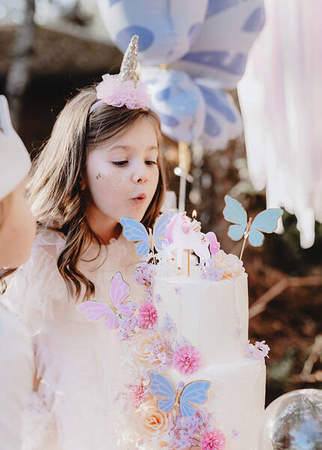 Butterfly Cake Toppers, 9 x 6.5 cm