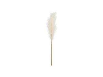 Artificial pampas grass, 15x110 cm, light cream