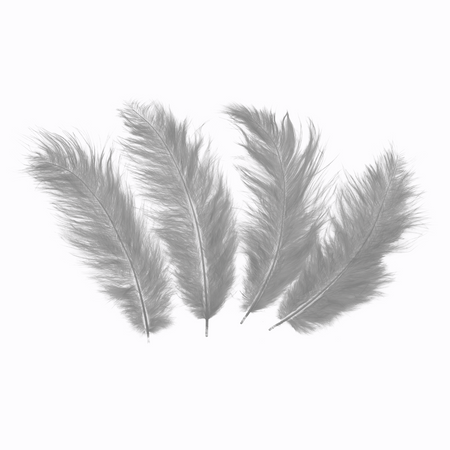 Decorative feathers long - gray, 50 pieces