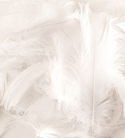 Decorative feathers - White, 12 g