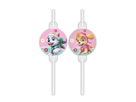 Paper tubes (straws) with Paw Patrol medallion 4 pcs.