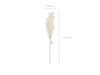 Artificial pampas grass, 15x110 cm, light cream