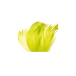 Dekorative Federn - Olivgrün, 12 g