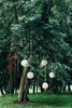 Kristallgirlande, farblos, 1m
